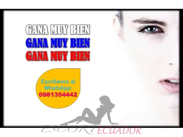 Si Tienes Imagen Y Actitud Aquí Hay Oportunid