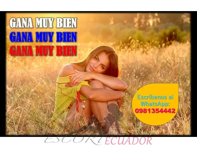 Ingresos Diarios Sin Sacrificar Tus Estudios