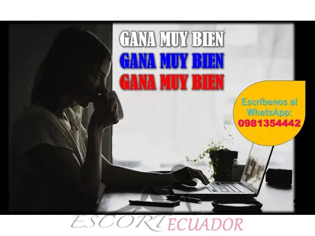 Ingresos Diarios En Efectivo Con Respaldo Prof