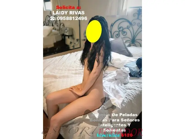 Una Presencia Fresca Pensada Para Gustos Selec