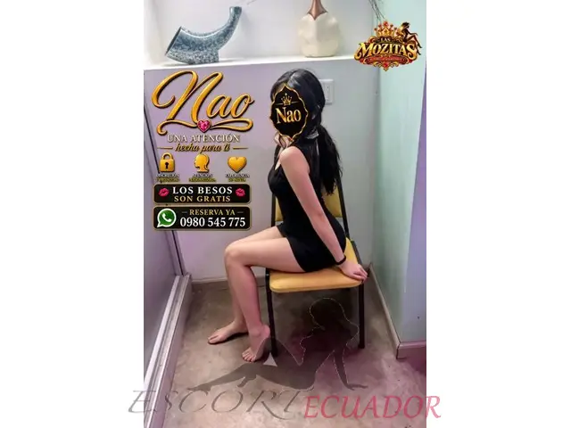 Perfecta Para Ejecutivos Y Turistas Exigentes