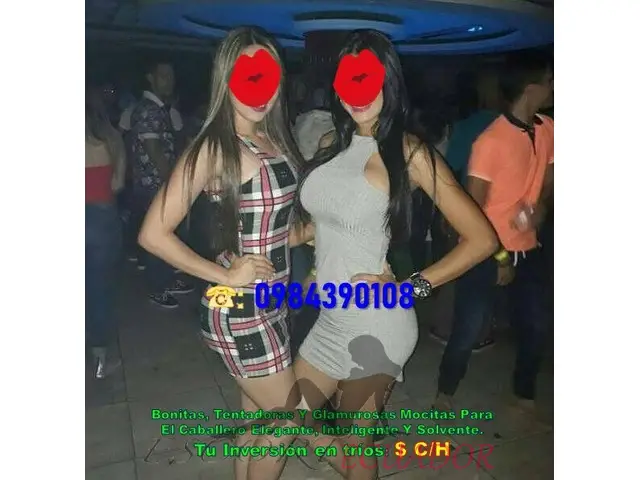 Conjunto De CHICAS TOP, De Las Más Sexys