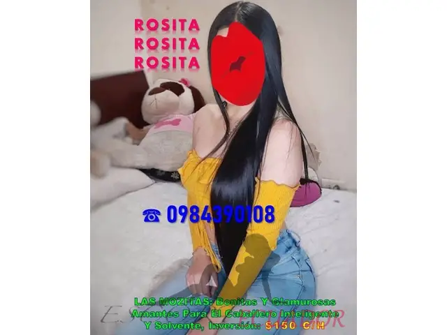 CONTAMOS CON ESPECTACULARES ESCORTS