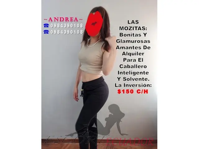 NEW ¿TE GUSTA DE LO NUEVO & VIRGINAL?