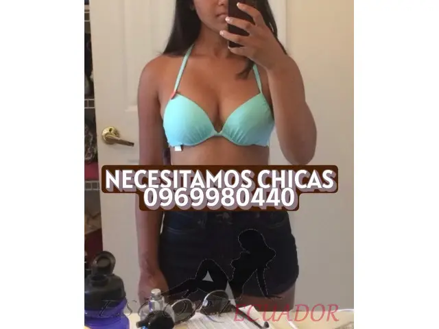 Imagen 2 / 6