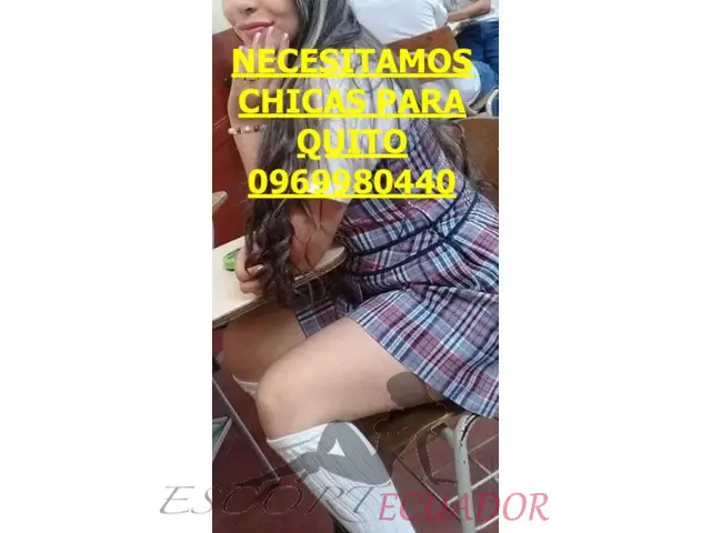 Imagen 5 / 8