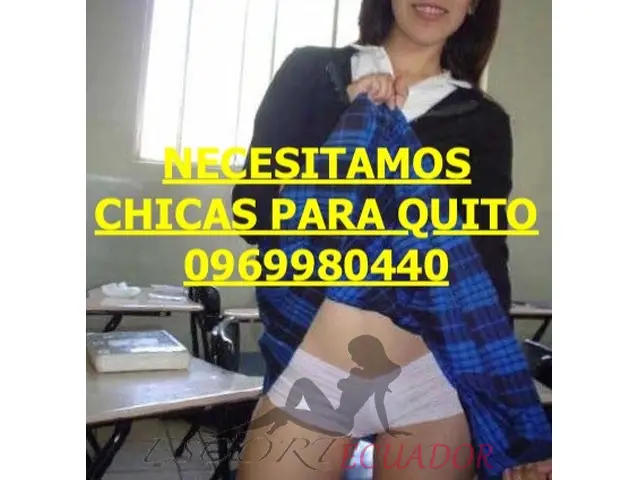 Imagen 4 / 6
