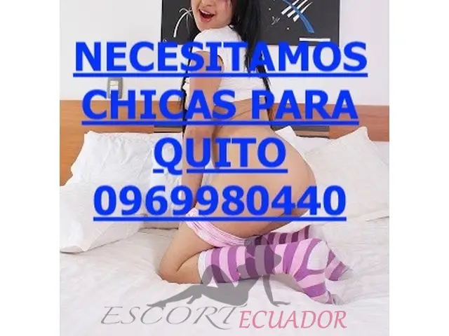 Imagen 5 / 6