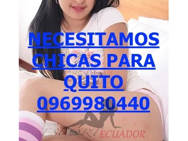 Imagen 5 / 6