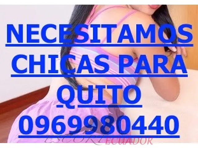Imagen 6 / 6