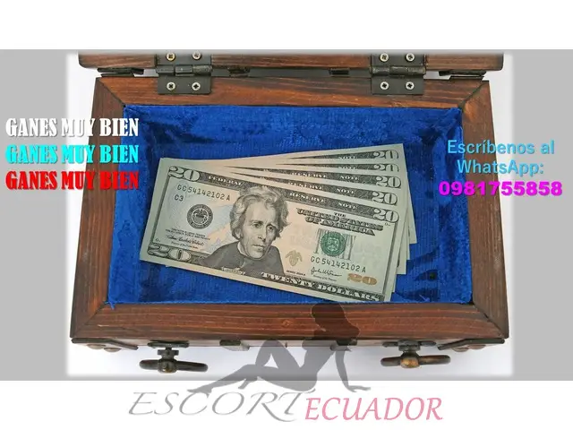 Trabajo Bien Pagado Para Jóvenes Bonitas Y Cultas