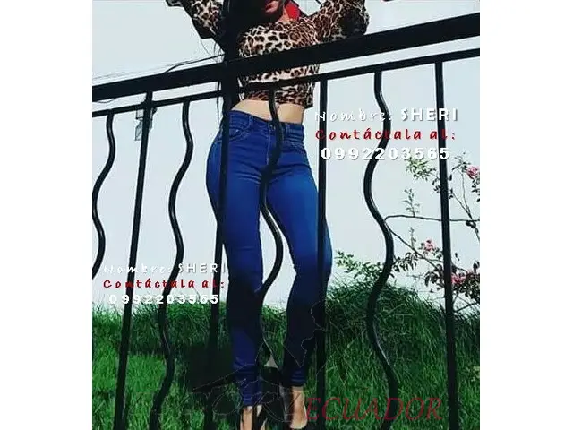 Te Gusto, Me Pagas, Te Complazco