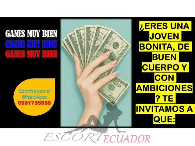 Ingresos Diarios En Un Entorno De Alto Nivel