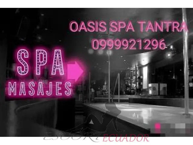 NECESITAS INGRESOS BUENOS Y PAGOS DIARIOS