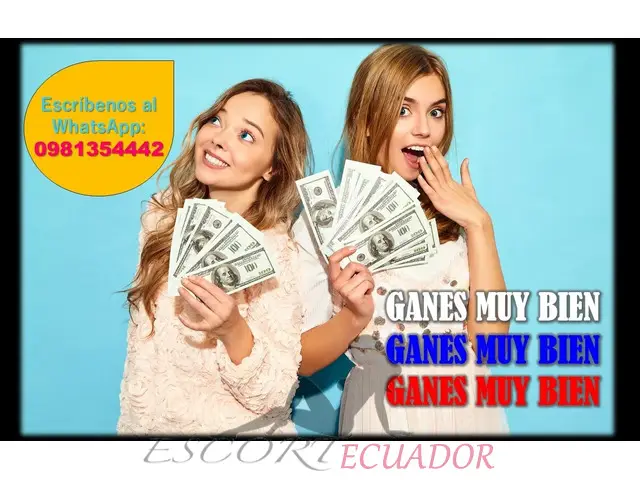 Trabajo Con Discreción Absoluta Y Buen Ambiente